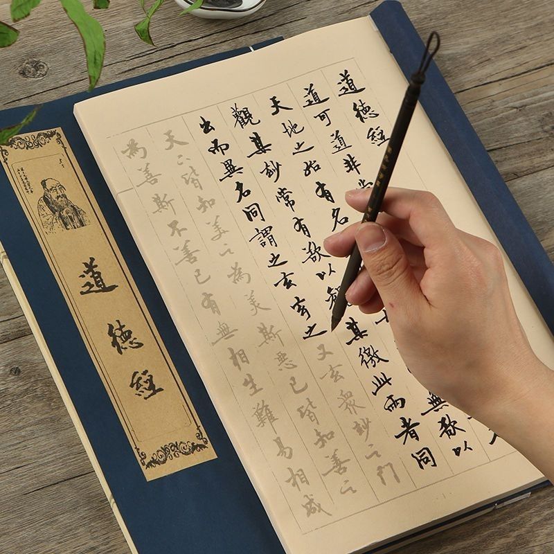 브러시 펜 한자 캘리그라피 카피북, 부드러운 브러시 캘 - Chinese Calligraphy Practice Book 리뷰 및 가격