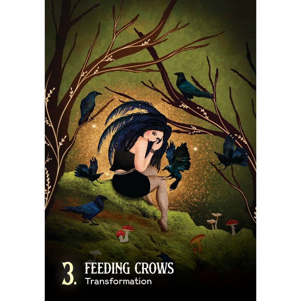 마녀의 시간 오라클 카드는 내면의 마법을 깨우고 44개 - Tarot Deck With Guidebook 리뷰 및 가격