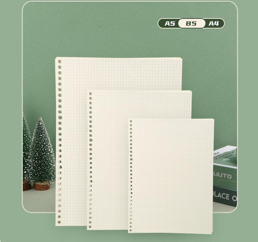 A5 B5 라인 그리드 20 홀 루스 리프 노트 리필  - A5 Spiral Dotted Grid Notebook 리뷰 및 가격