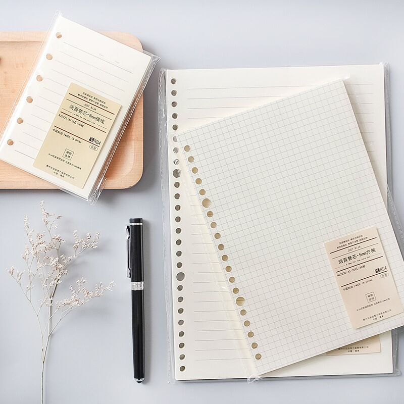 A5 B5 20 홀 루스 리프 노트 리필 60 매 나선 - A5 Spiral Dotted Grid Notebook 리뷰 및 가격